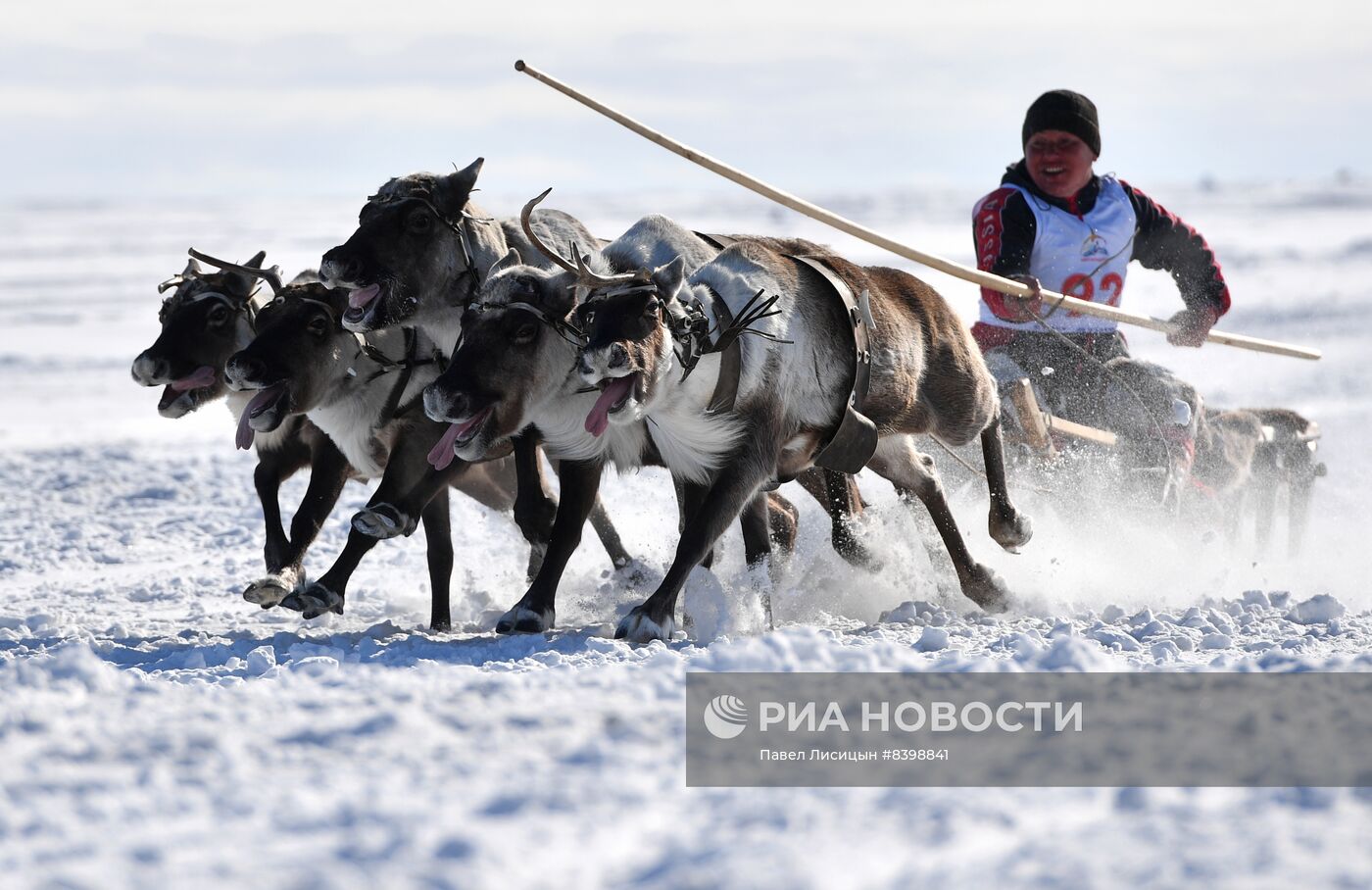 День оленевода в Салехарде