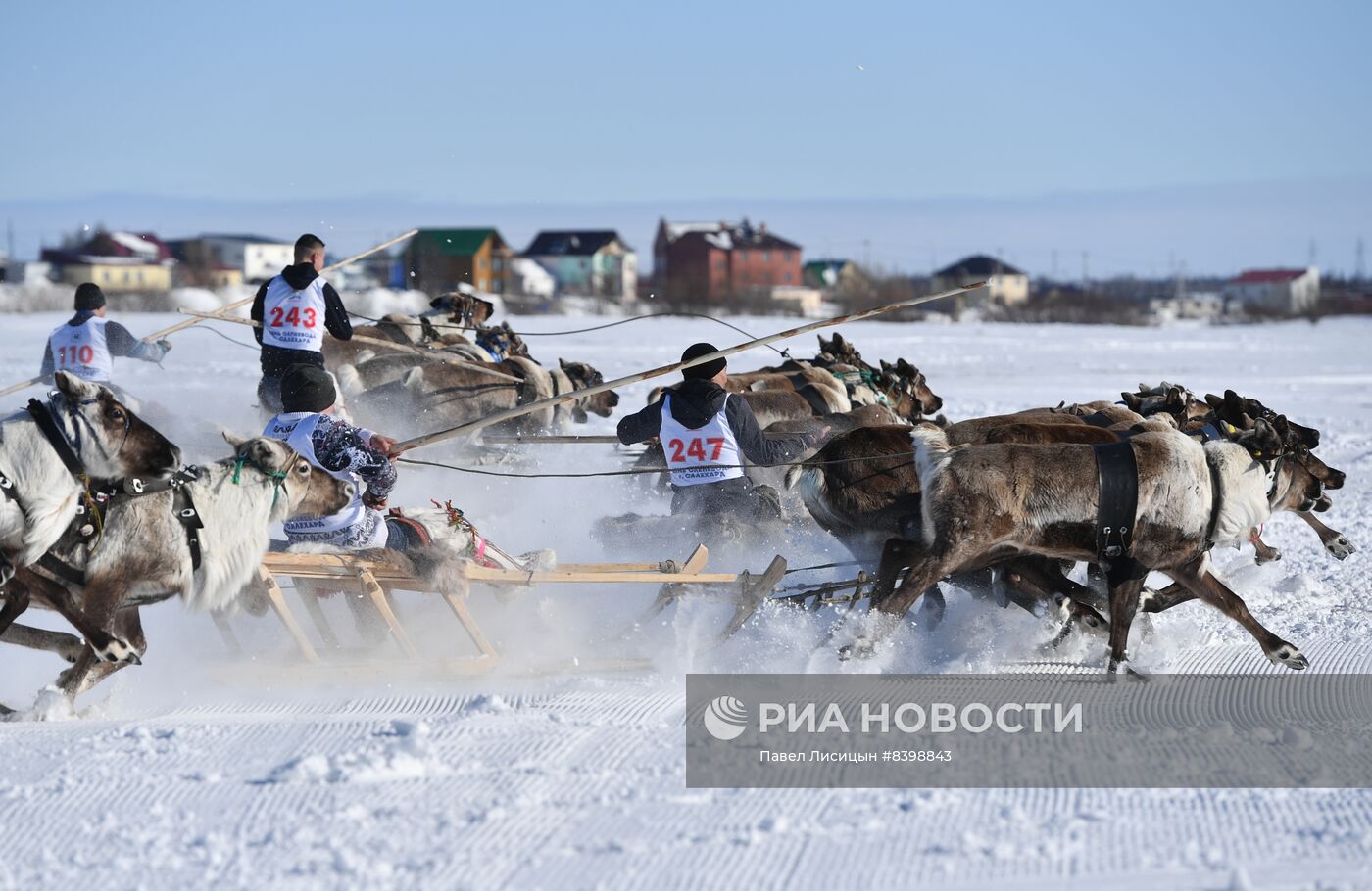 День оленевода в Салехарде