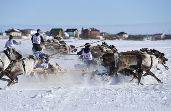 День оленевода в Салехарде