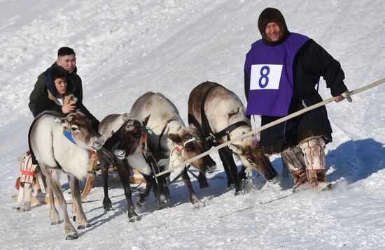 День оленевода в Салехарде