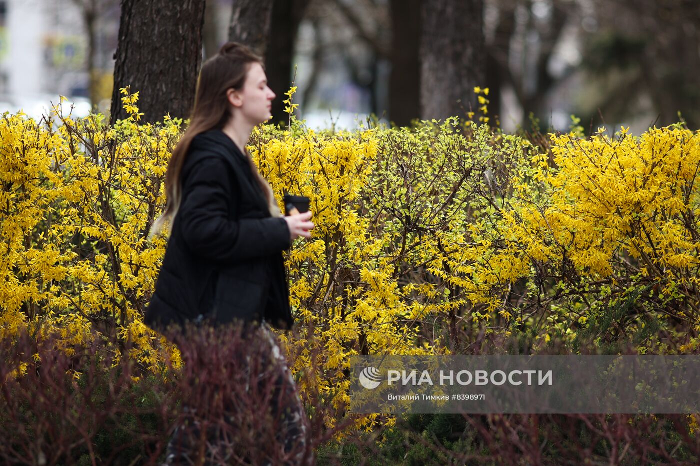 Весна в Краснодарском крае