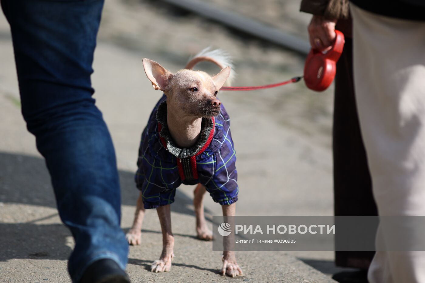 Весна в Краснодарском крае