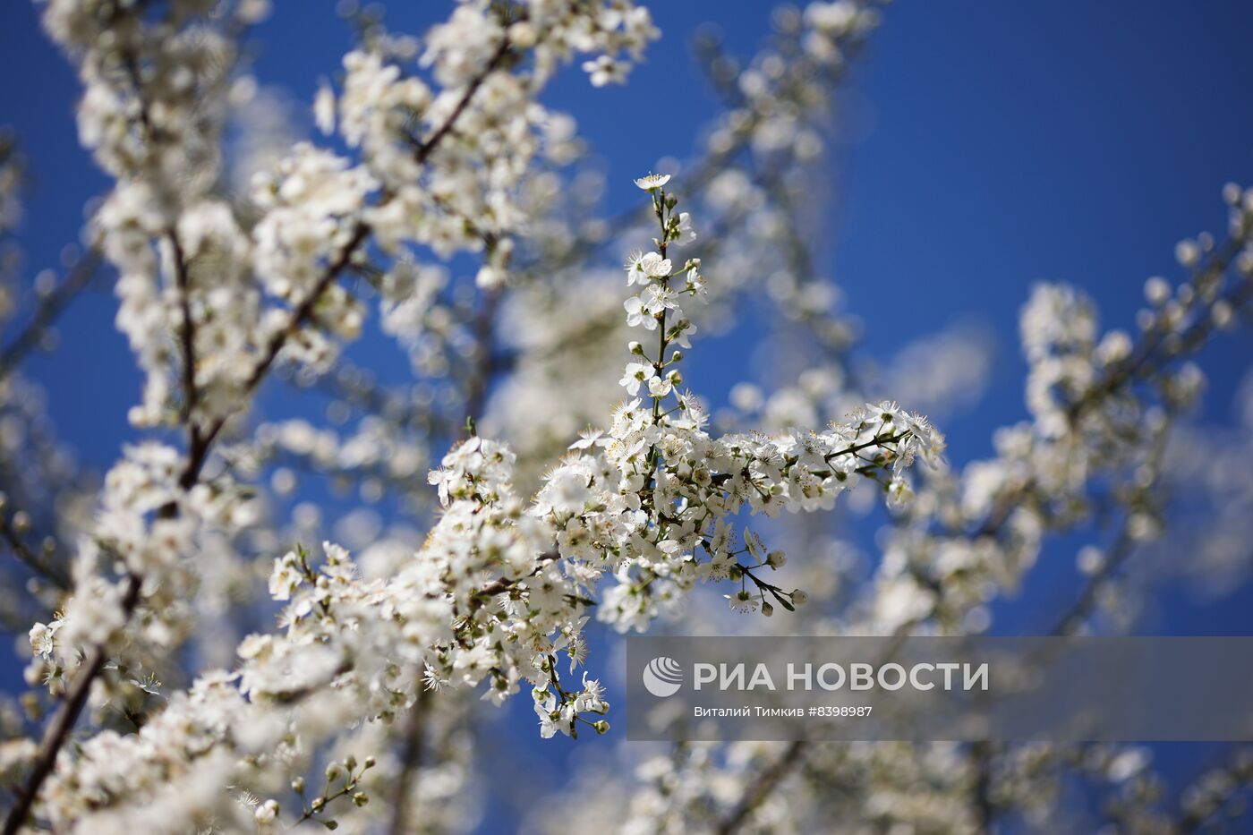 Весна в Краснодарском крае