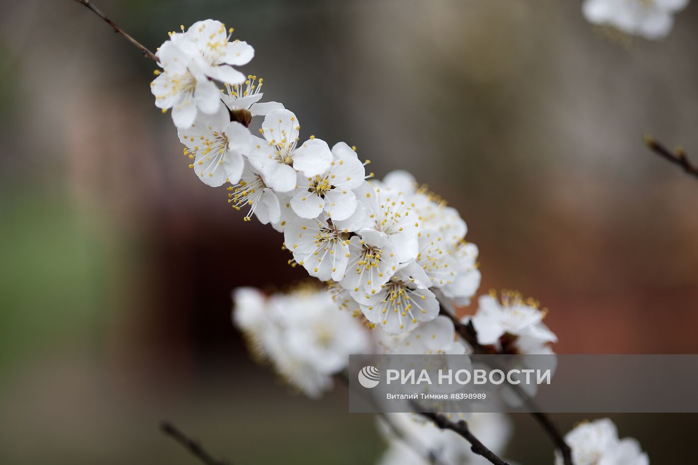 Весна в Краснодарском крае