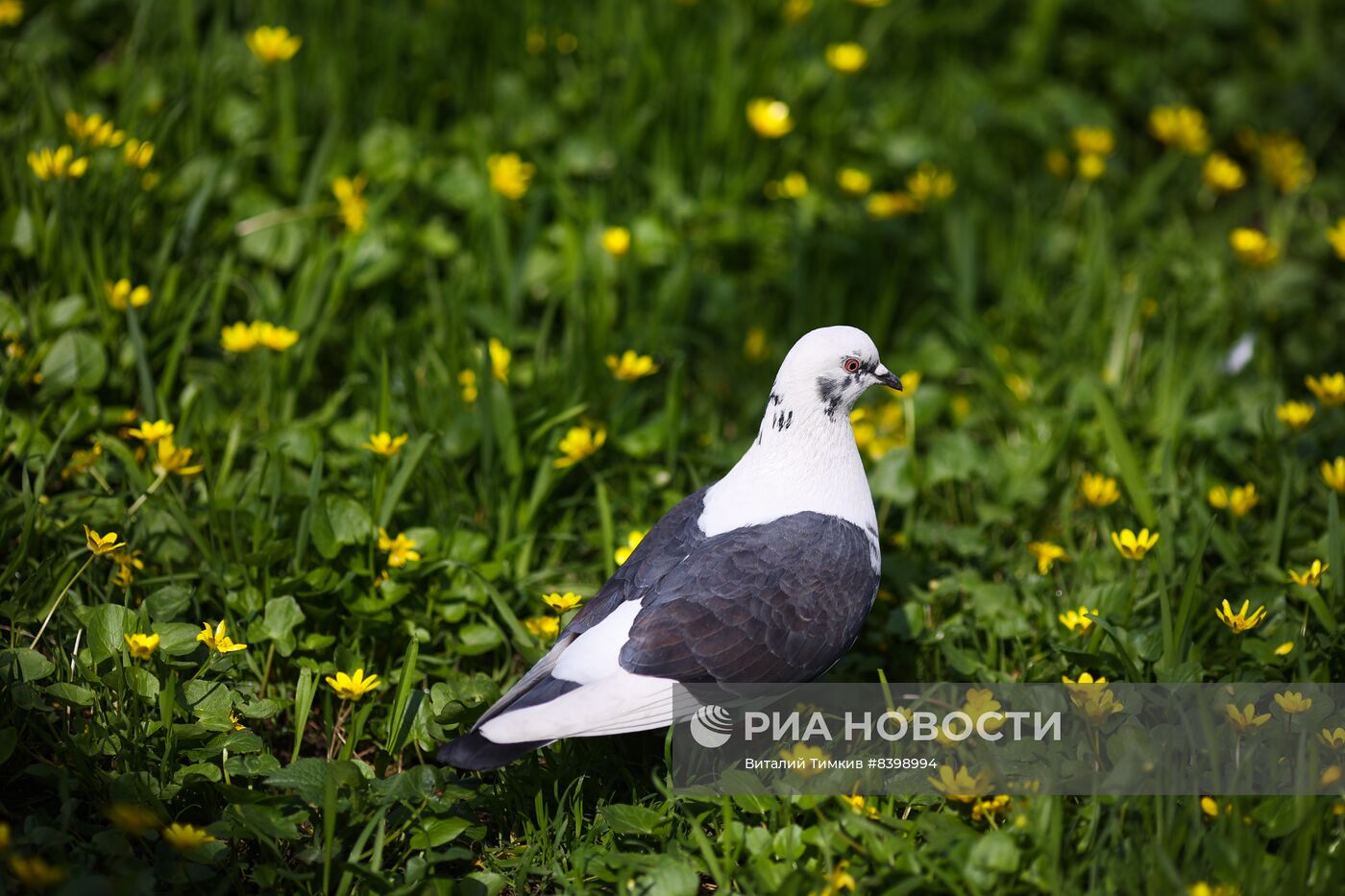 Весна в Краснодарском крае