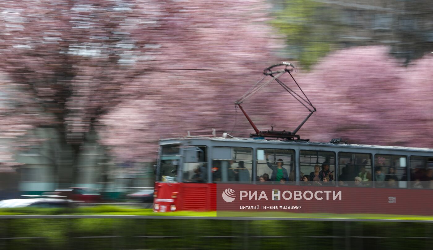 Весна в Краснодарском крае