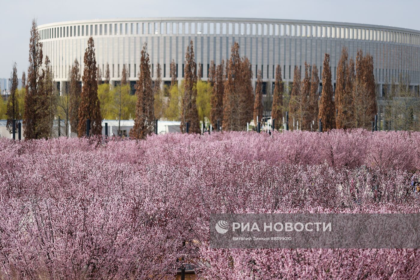 Весна в Краснодарском крае