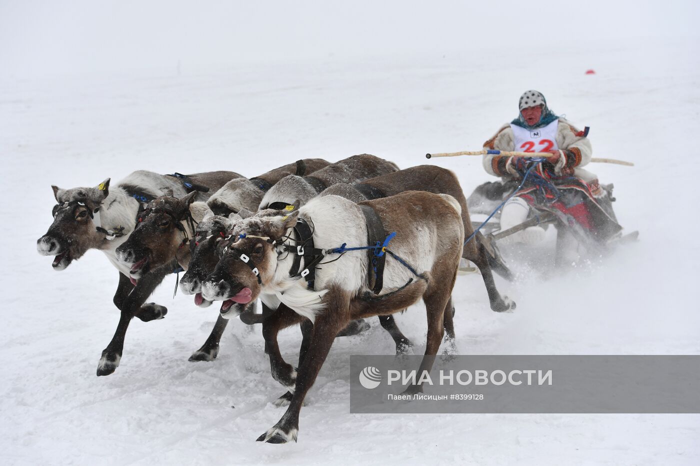 Праздник оленевода в Салехарде. День второй