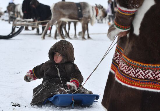 Праздник оленевода в Салехарде. День второй