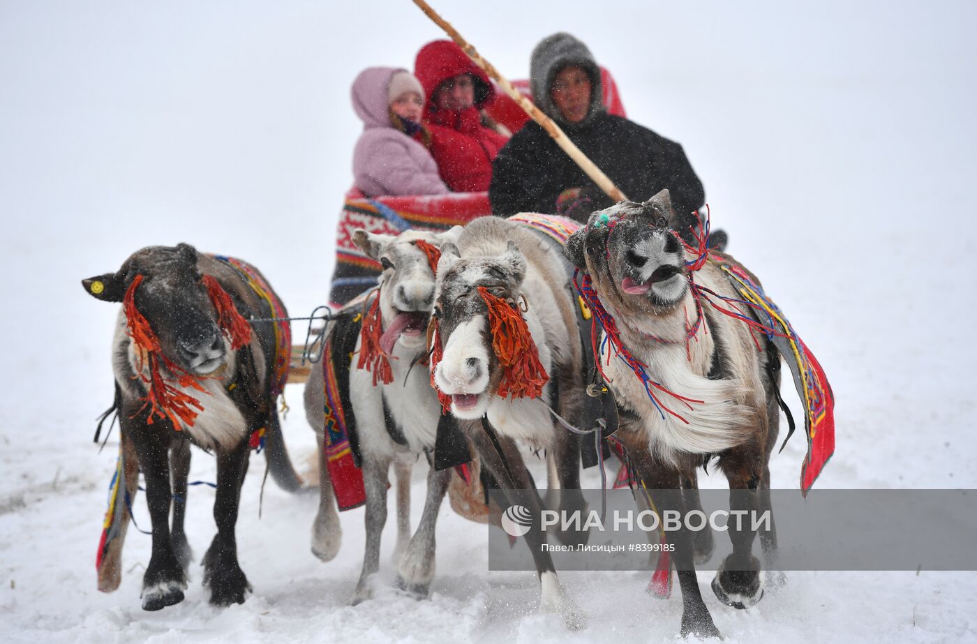 Праздник оленевода в Салехарде. День второй