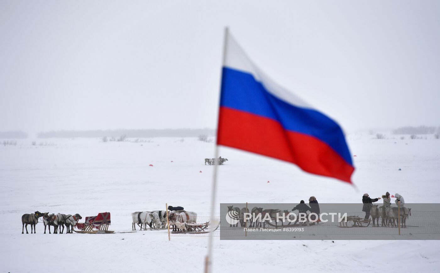 Праздник оленевода в Салехарде. День второй