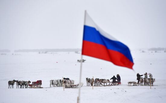 Праздник оленевода в Салехарде. День второй