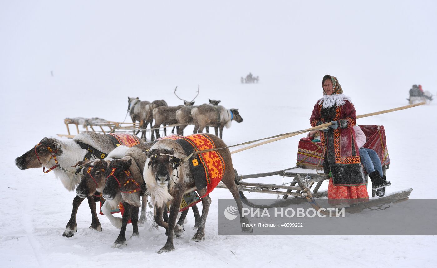 Праздник оленевода в Салехарде. День второй