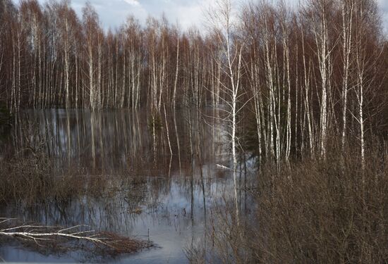 Паводки в Московской области