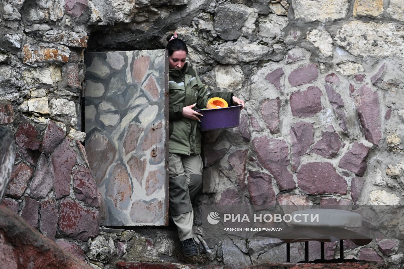 Медведи проснулись после зимней спячки в Московском зоопарке