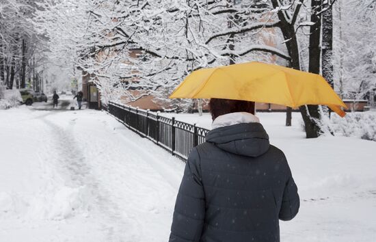 Весенний снегопад в Санкт-Петербурге