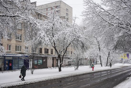 Весенний снегопад в Санкт-Петербурге