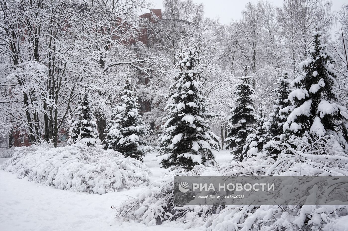 Весенний снегопад в Санкт-Петербурге