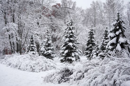 Весенний снегопад в Санкт-Петербурге