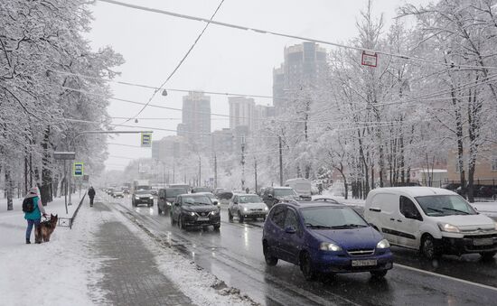 Весенний снегопад в Санкт-Петербурге