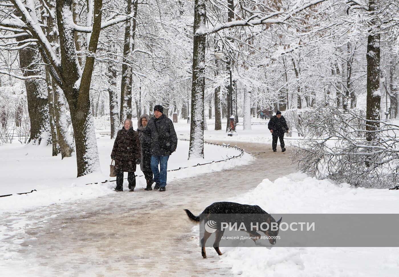 Весенний снегопад в Санкт-Петербурге