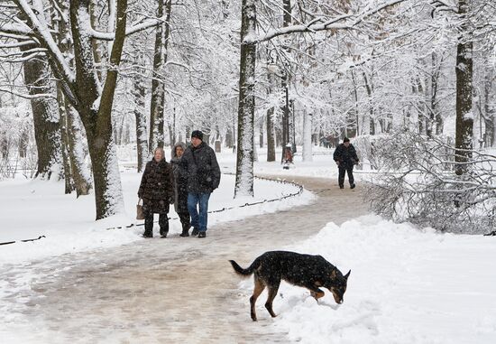 Весенний снегопад в Санкт-Петербурге