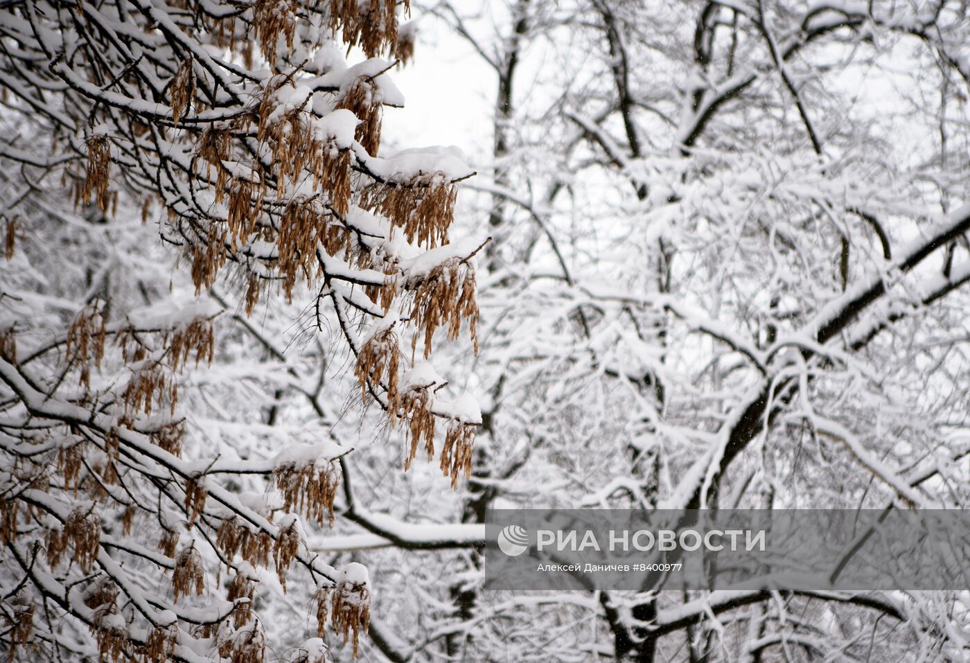 Весенний снегопад в Санкт-Петербурге