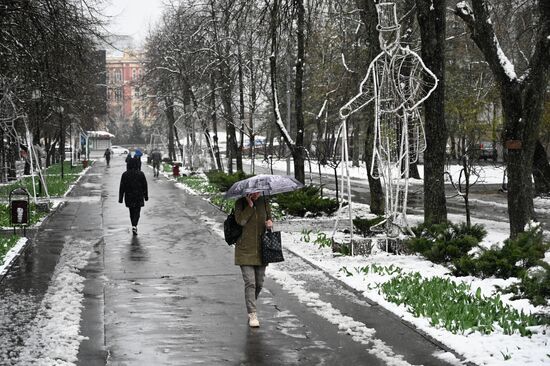 Весенний снегопад в Ростове-на-Дону