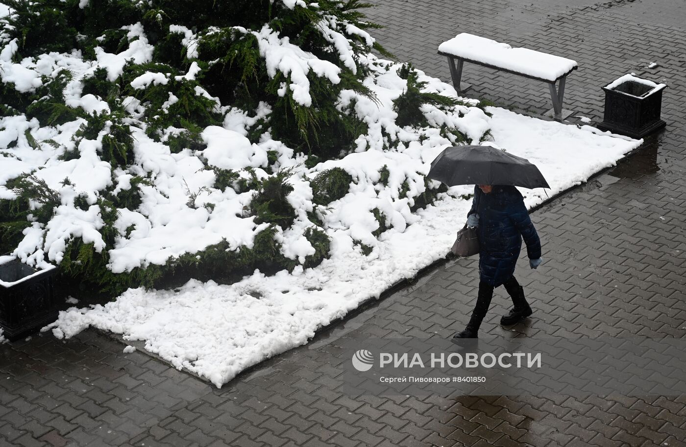 Весенний снегопад в Ростове-на-Дону