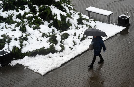 Весенний снегопад в Ростове-на-Дону