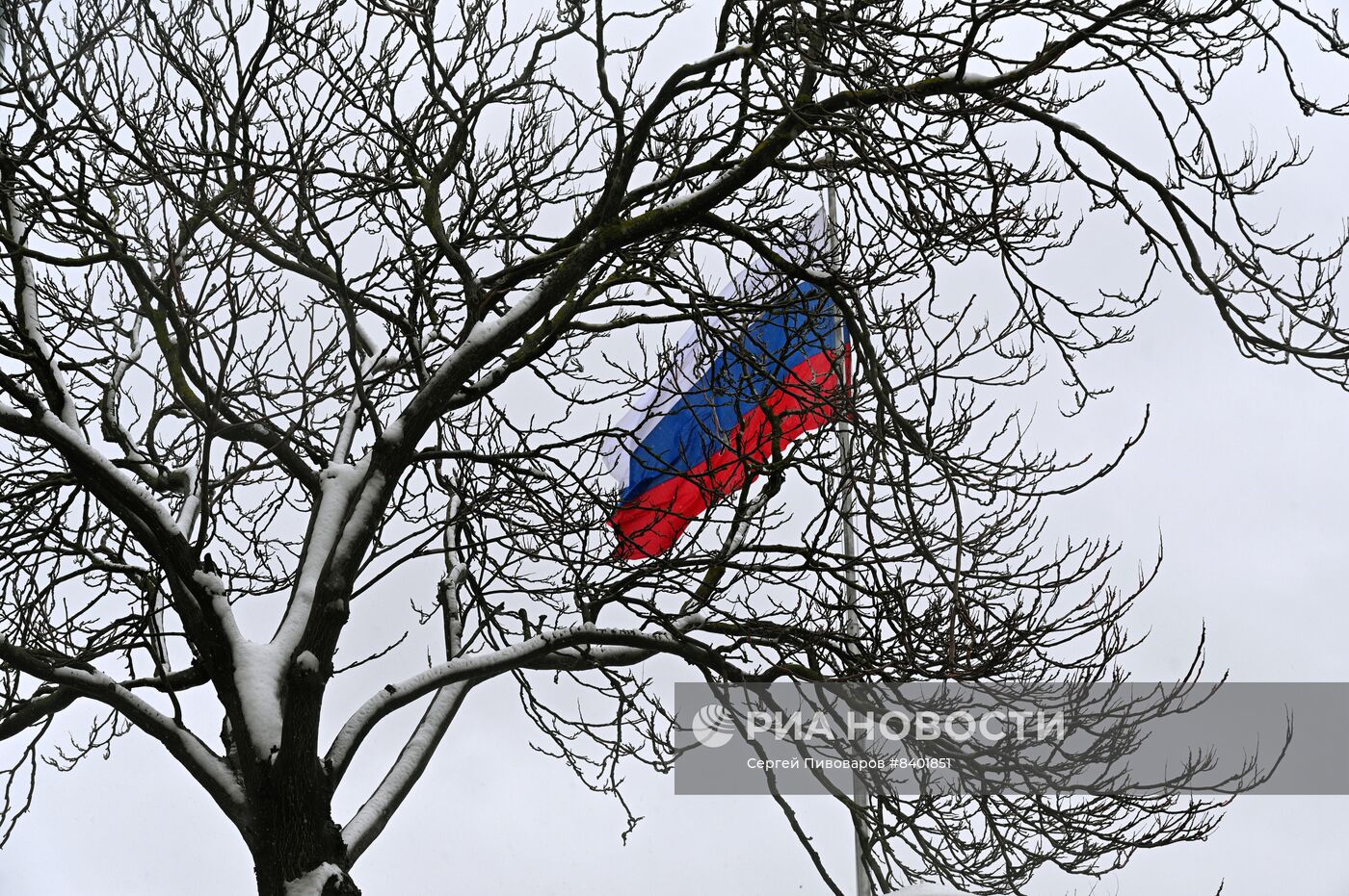 Весенний снегопад в Ростове-на-Дону