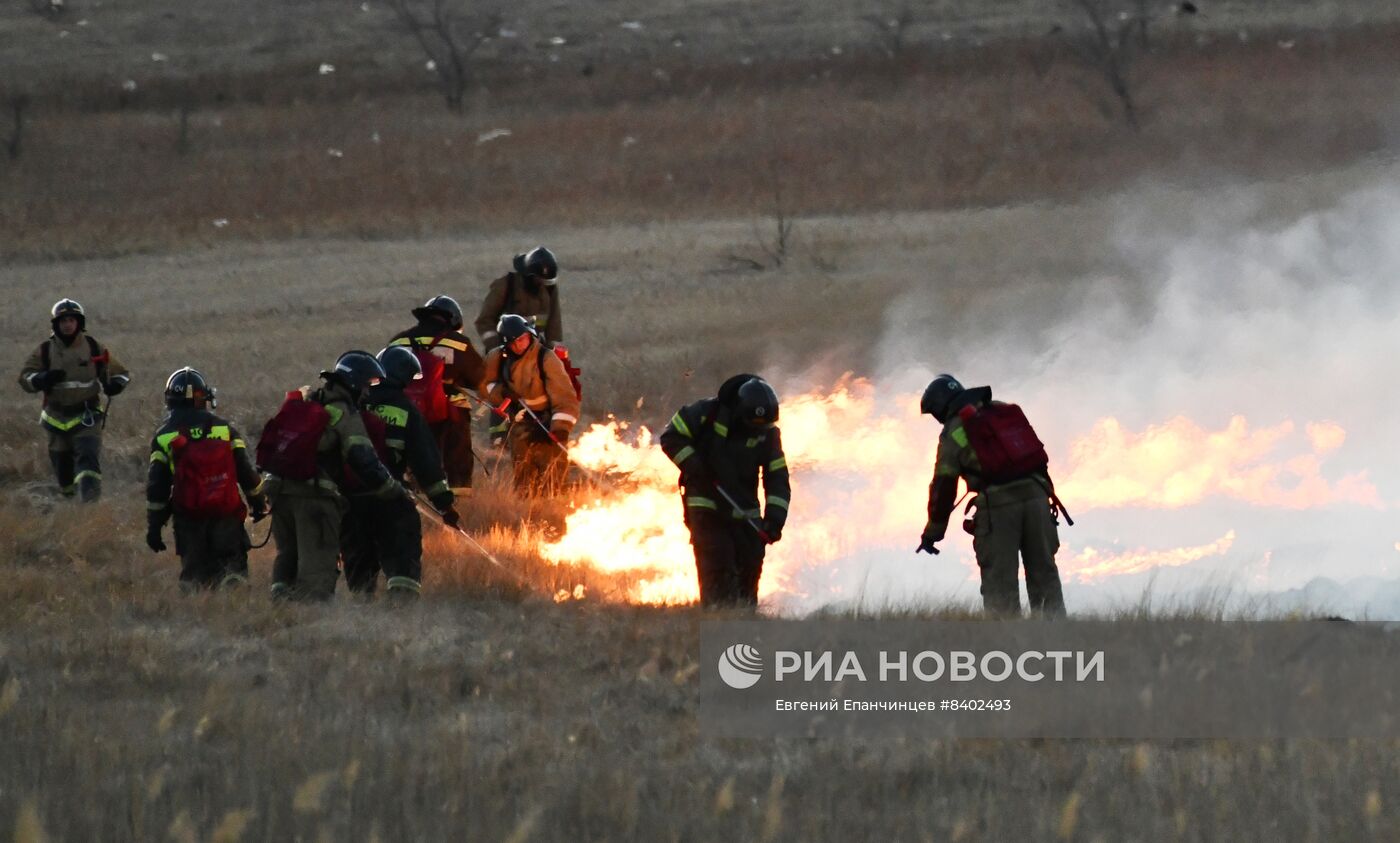 Последствия природных пожаров в Чите