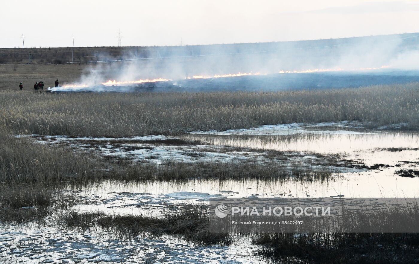 Последствия природных пожаров в Чите