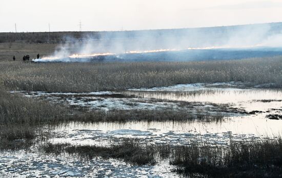 Последствия природных пожаров в Чите