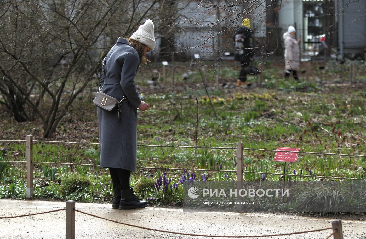 Весенний фестиваль цветов в Москве 