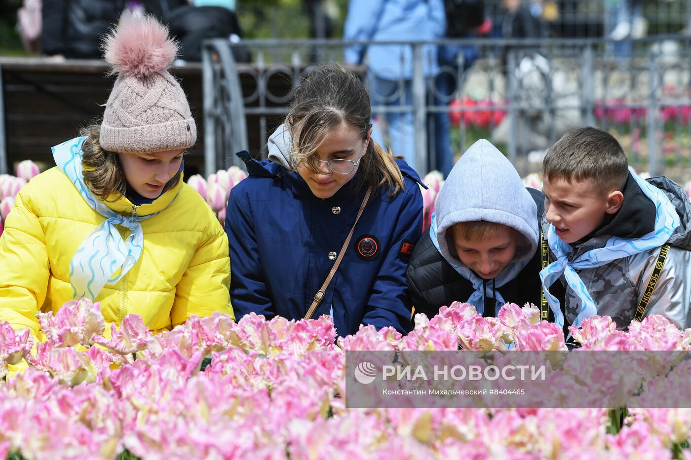 Открытие парада тюльпанов в Никитском ботаническом саду