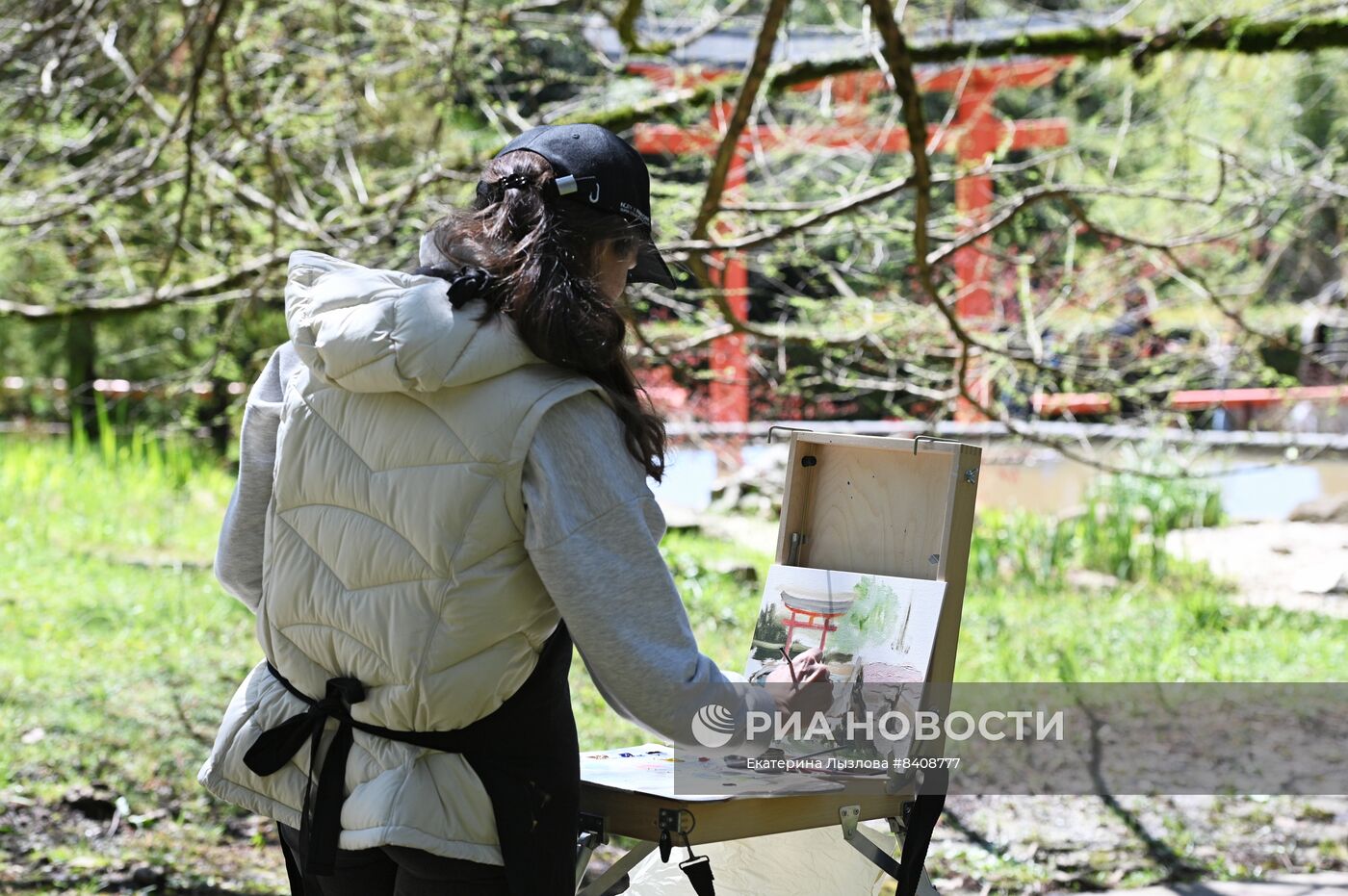 Парк "Дендрарий" в Сочи