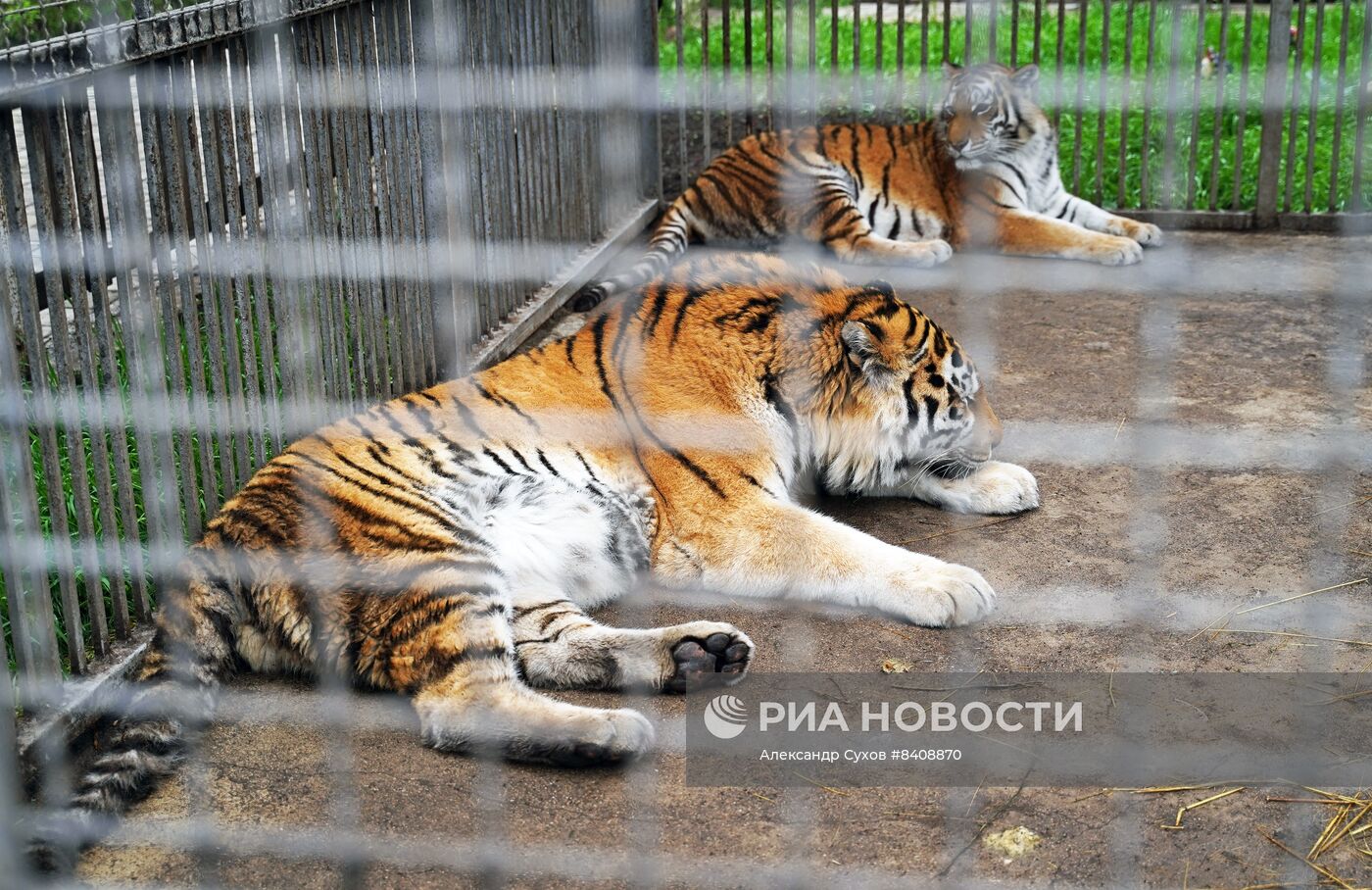 Мариупольский зоопарк