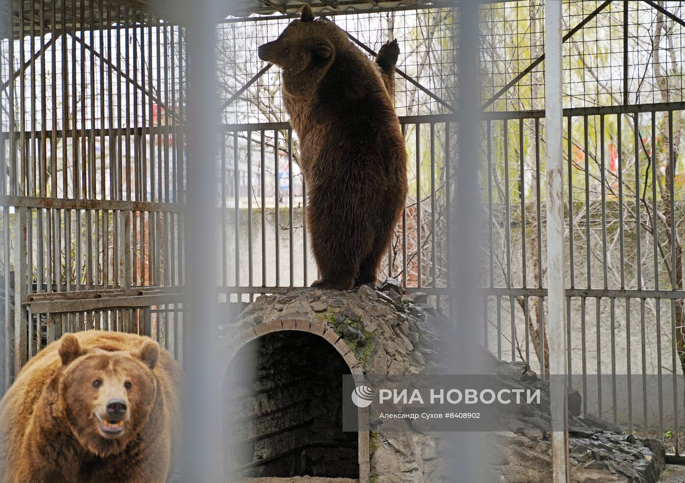 Мариупольский зоопарк