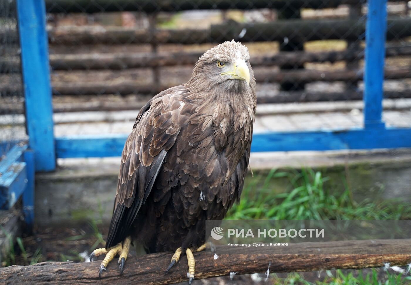 Мариупольский зоопарк