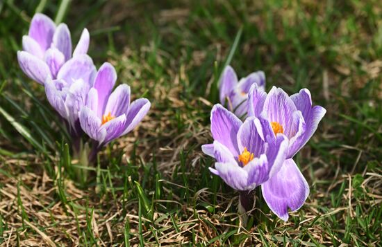 Весенняя погода в Москве