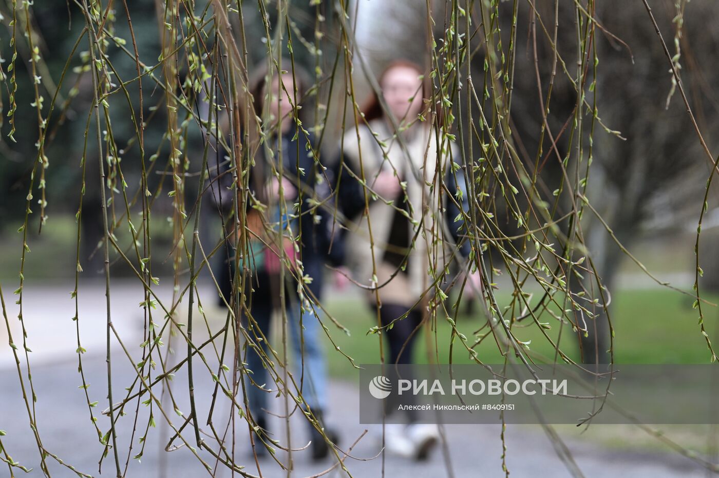 Весенняя погода в Москве