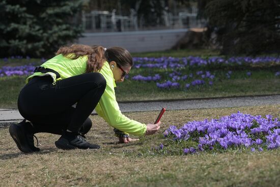 Весенняя погода в Москве