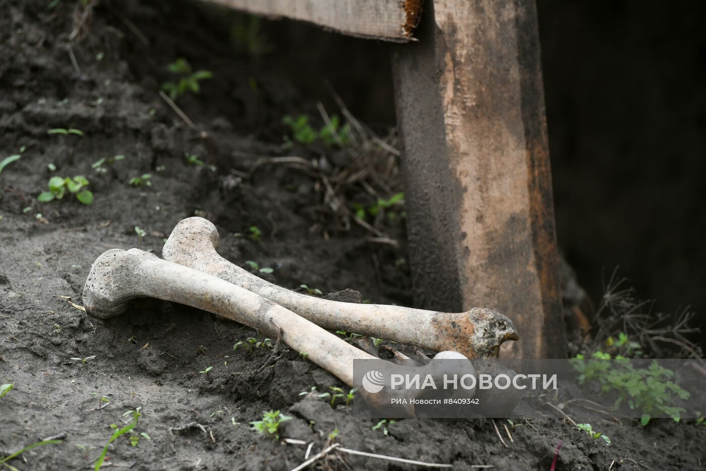 Работы поискового отряда по обнаружению останков в зоне СВО