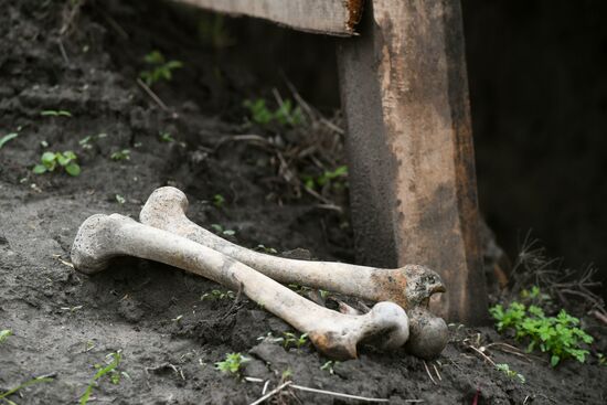 Работы поискового отряда по обнаружению останков в зоне СВО