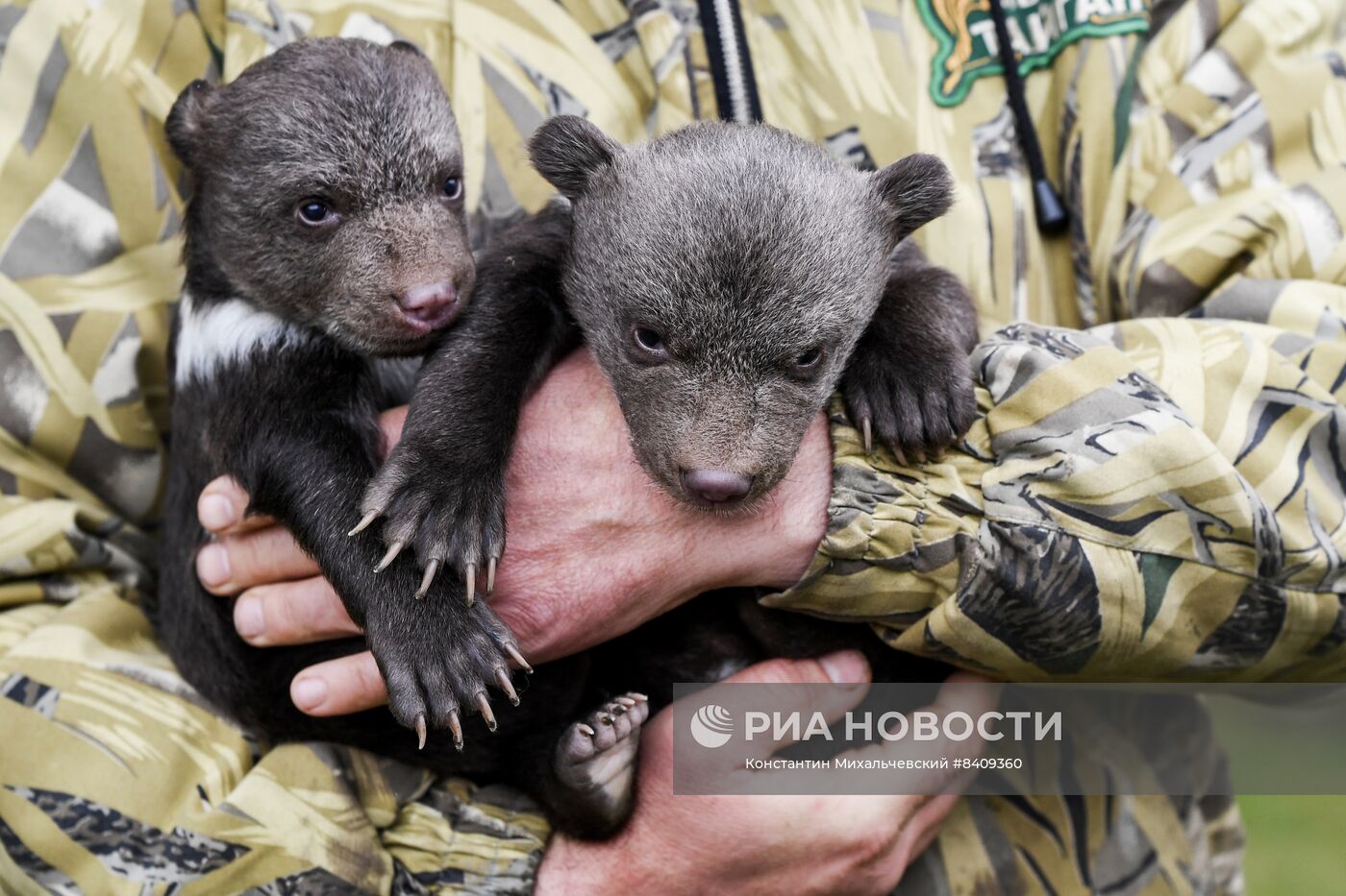 Работа сафари-парка "Тайган" в Крыму
