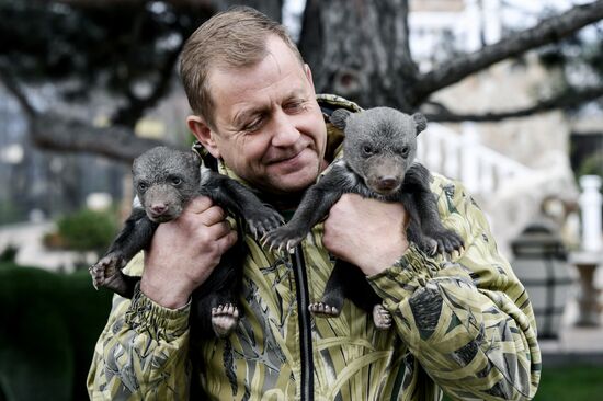 Работа сафари-парка "Тайган" в Крыму