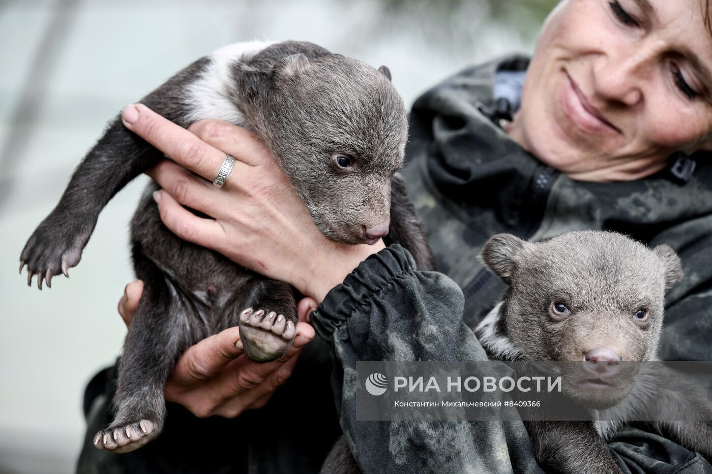 Работа сафари-парка "Тайган" в Крыму