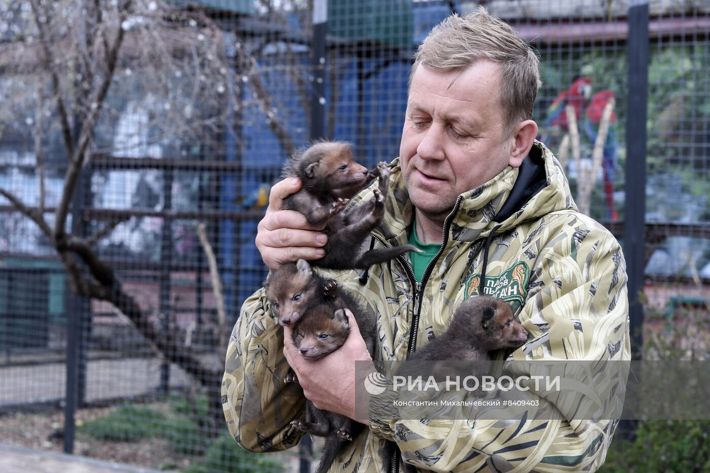 Работа сафари-парка "Тайган" в Крыму