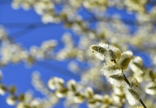 Весна в Казани